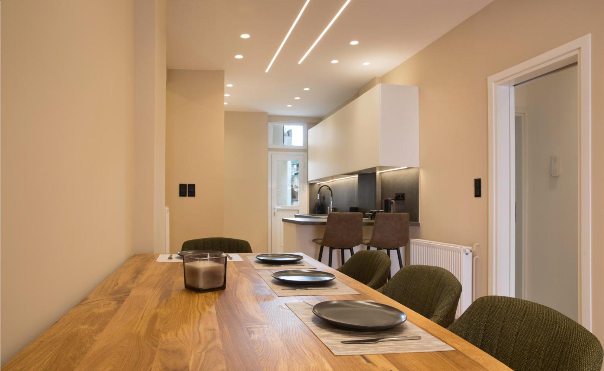 Urban Spacious Apartment Near Kallimarmaron Athens Luaran gambar